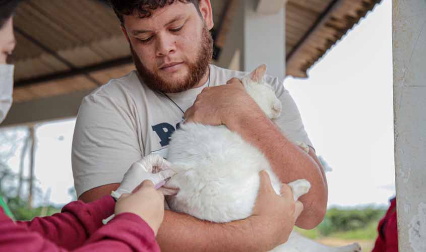 Vacinação para cães e gatos será realizada na Vila Princesa neste sábado (24)