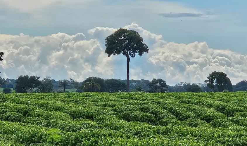 Soluções sustentáveis com protagonismo da Ater Pública são destacas pelo governo de RO