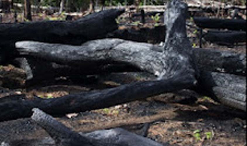 UNIR, CPT e KANINDÉ promovem o Seminário 'Áreas Protegidas de Rondônia em Perigo'