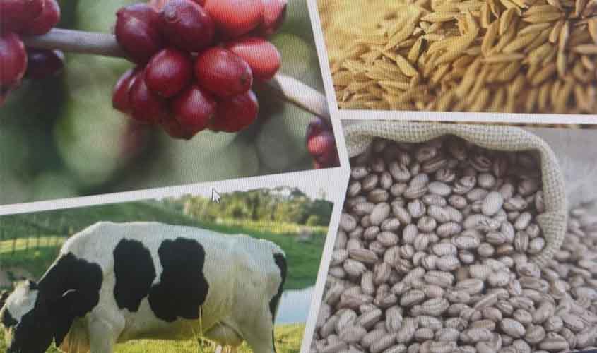 Brasil deve colher a maior safra de grãos da sua história