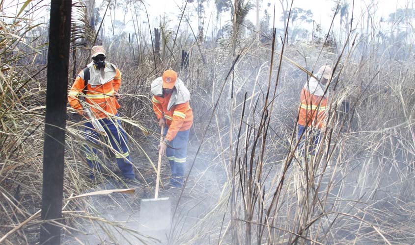 'Operação Verde Rondônia' combateu mais de mil focos de incêndios por todo o Estado em 2023