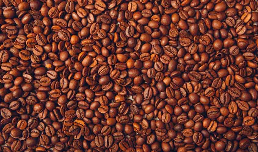 Café hoje: confira as cotações para terça-feira (23)