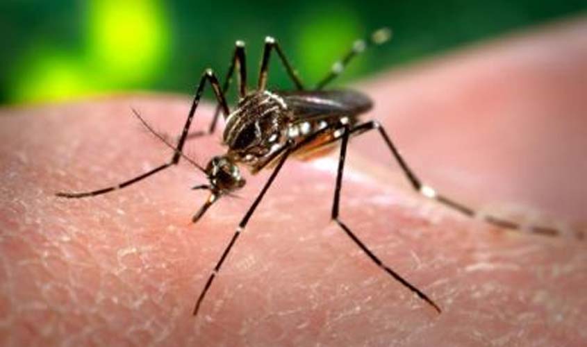 Semusa inicia levantamento sobre índice de doenças por Aedes aegypti