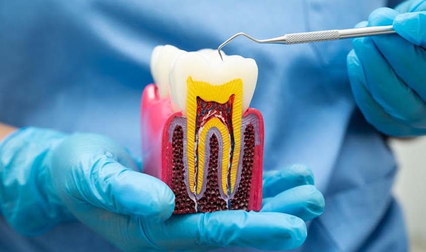 Mercado odontológico cresce e exige qualificação dos dentistas