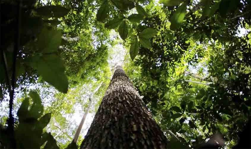 CNJ abre semana nacional de regularização fundiária na Amazônia