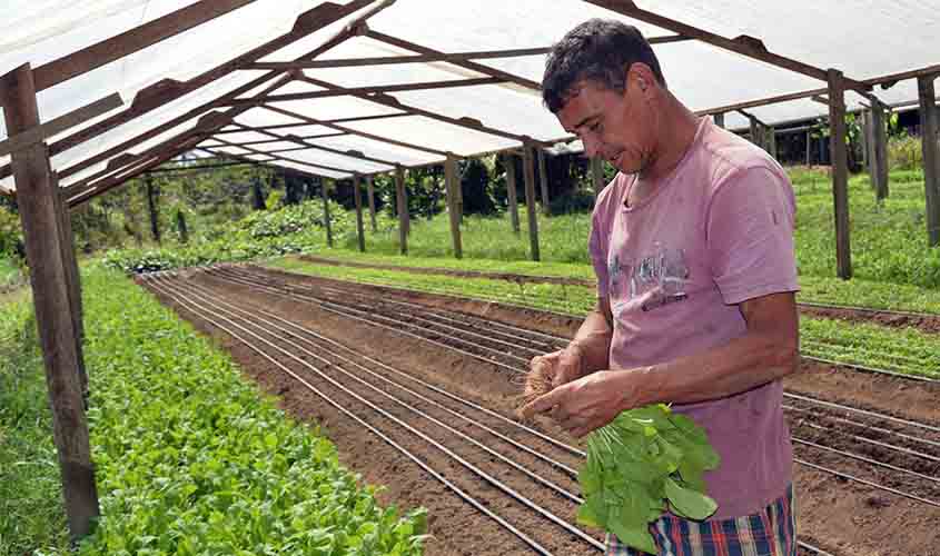 Programa de Assistência Técnica e Extensão Rural vai inserir agricultura de Rondônia em patamar tecnológico