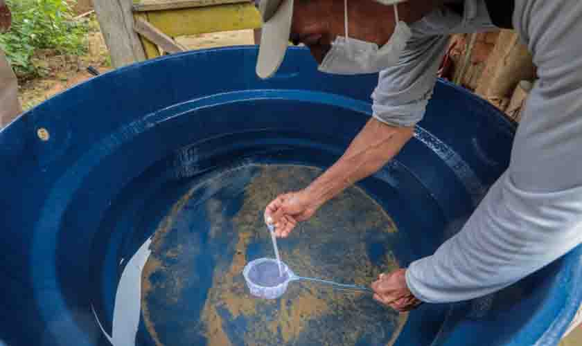 Período chuvoso contribui para o aumento de casos de dengue em Porto Velho