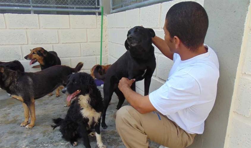 Ieda Chaves propõe canis e gatis em presídios de RO