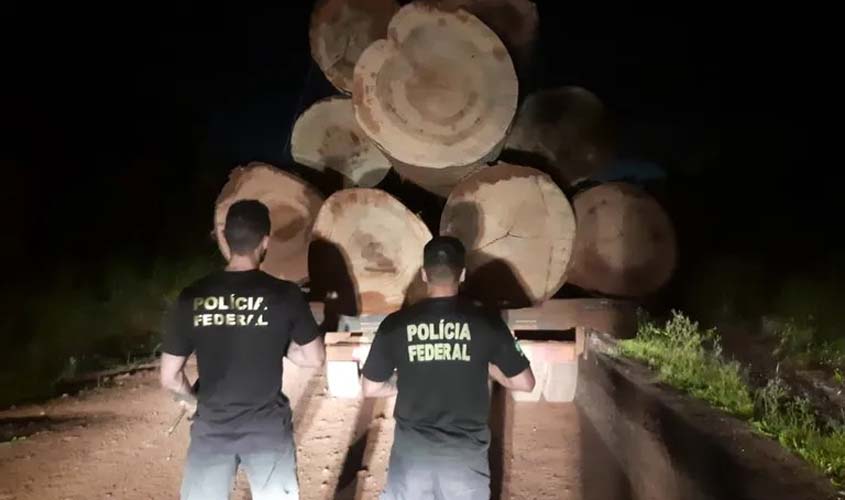 Polícia prende duas pessoas com madeira ilegal em terras indígenas