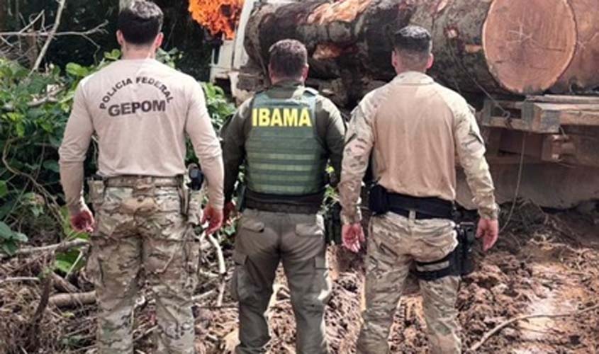 PF, Funai, Ibama e EB combatem crimes ambientais em Rondônia