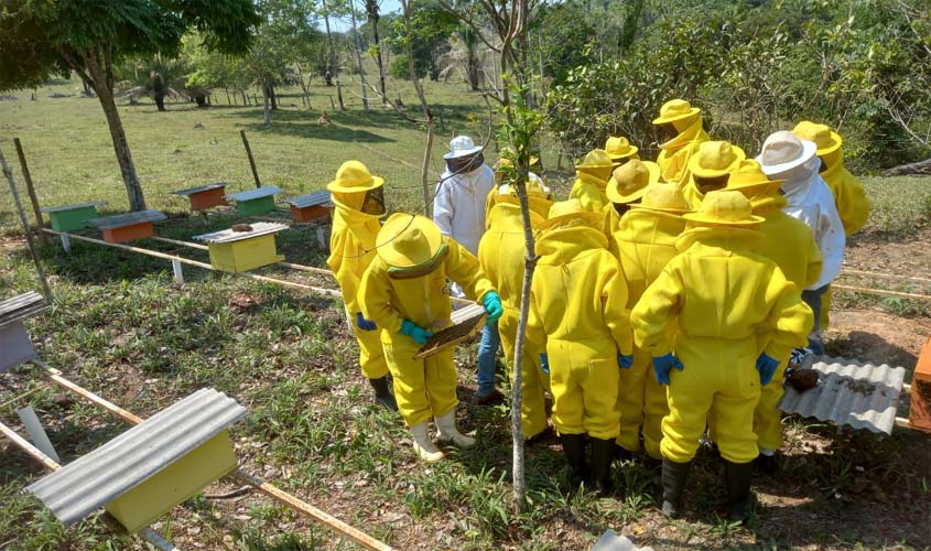 Prefeitura reforça cadastro de produtores de mel em Porto Velho