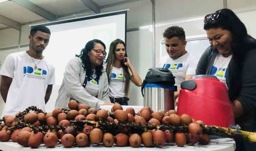 Estudantes de Curso Técnico em Agronegócio apresentam potenciais do buriti, na Rondônia Rural Show Internacional