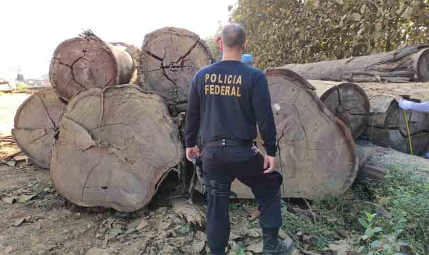 PF cumpre mandados em Rondônia em operação contra madeireiras irregulares