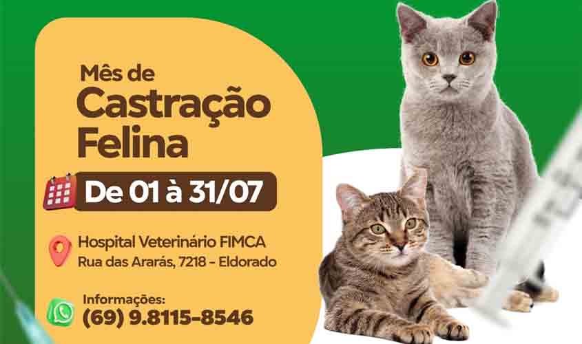 A Importância da Castração para os Animais e sua Saúde