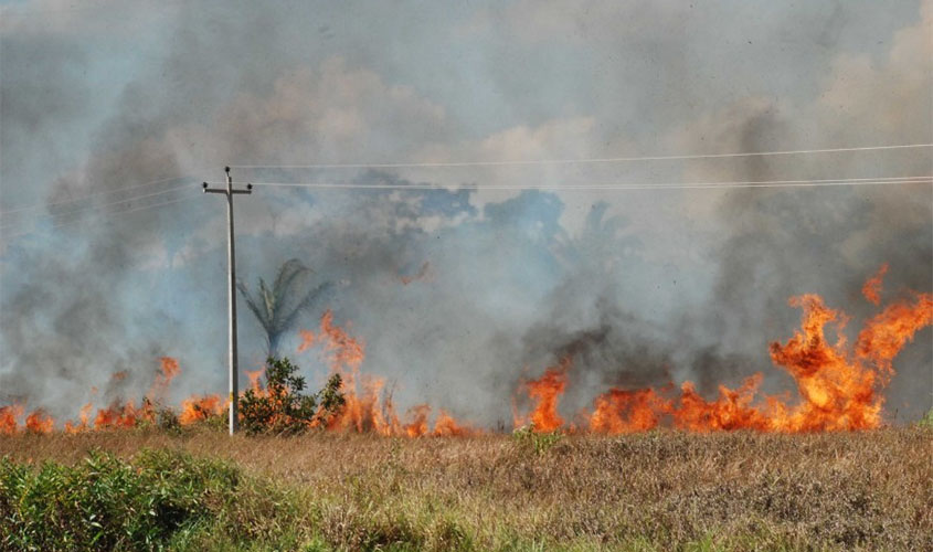 Decreto federal suspende por 120 dias uso do fogo, principalmente na Amazônia Legal