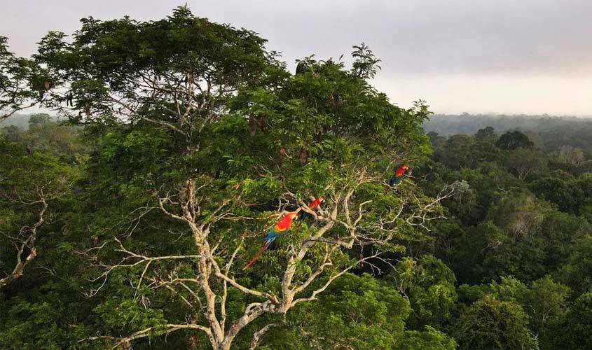 A Amazônia brasileira e nossa reserva de potássio