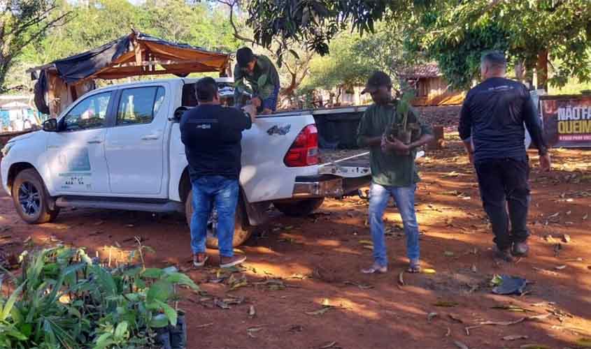 Ação ambiental beneficia indígenas com doação e plantio de mudas