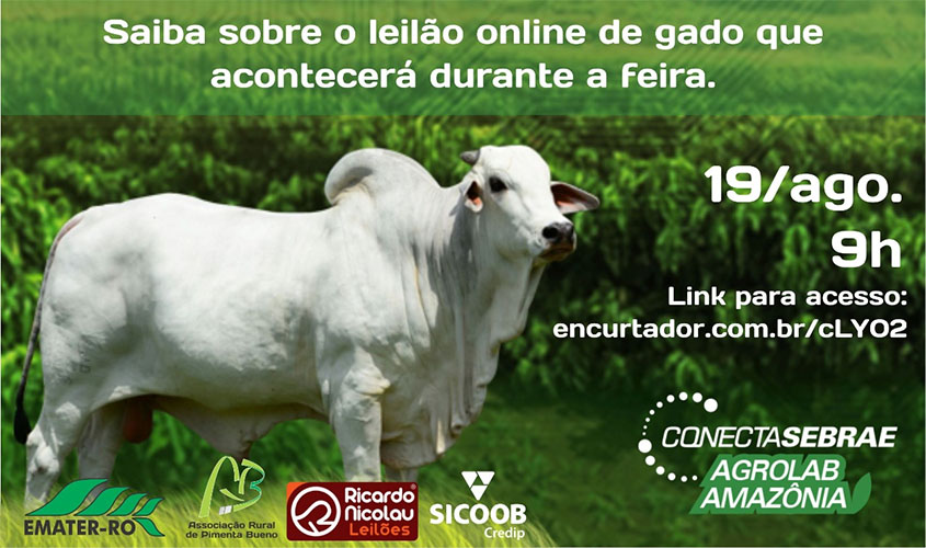 Leilão virtual de gado na Agrolab Amazônia terá apoio da Emater-RO