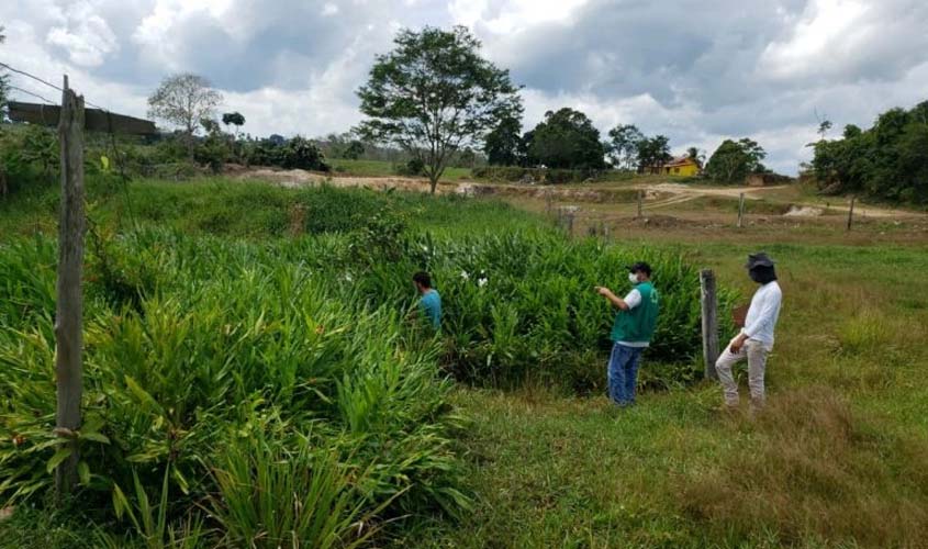 Sedam desenvolve trabalhos para controle efetivo do desmatamento em Rondônia