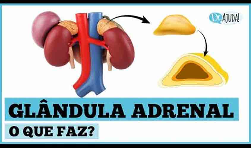 Quando suspeitar de problema na adrenal?