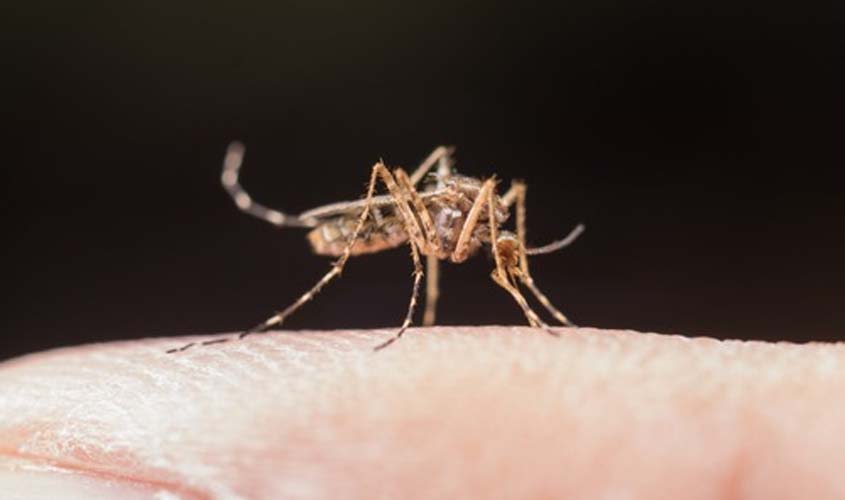 MICRORREGIÃO DE PORTO VELHO (RO): População de Itapuã do Oeste e Nova Mamoré precisa ficar alerta contra o Aedes aegypti