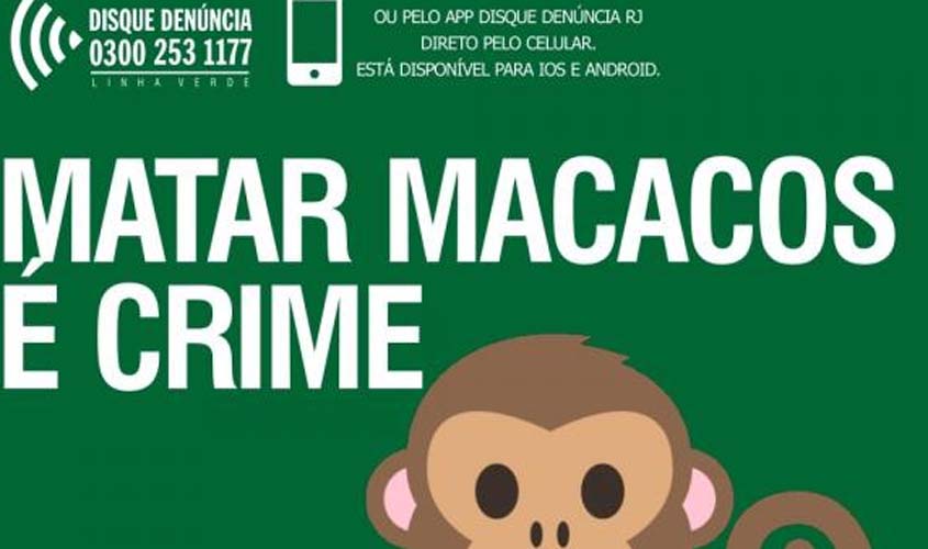 Disque Denúncia do RJ faz campanha contra maus-tratos a macacos