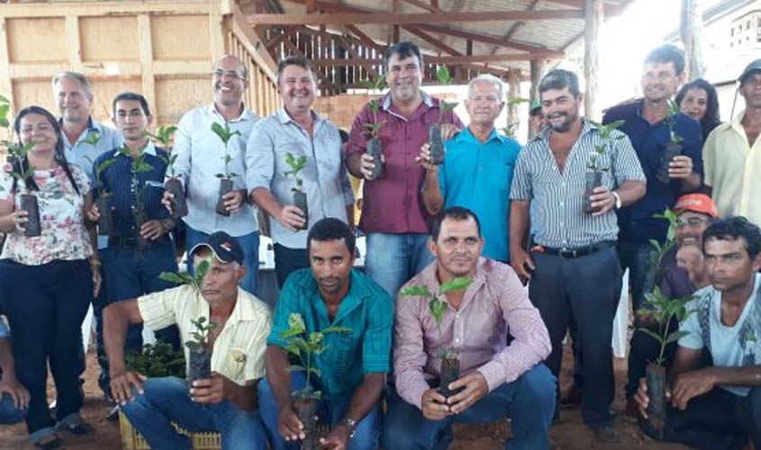 Agricultores de São Miguel do Guaporé recebem 100 mil mudas de café clonal