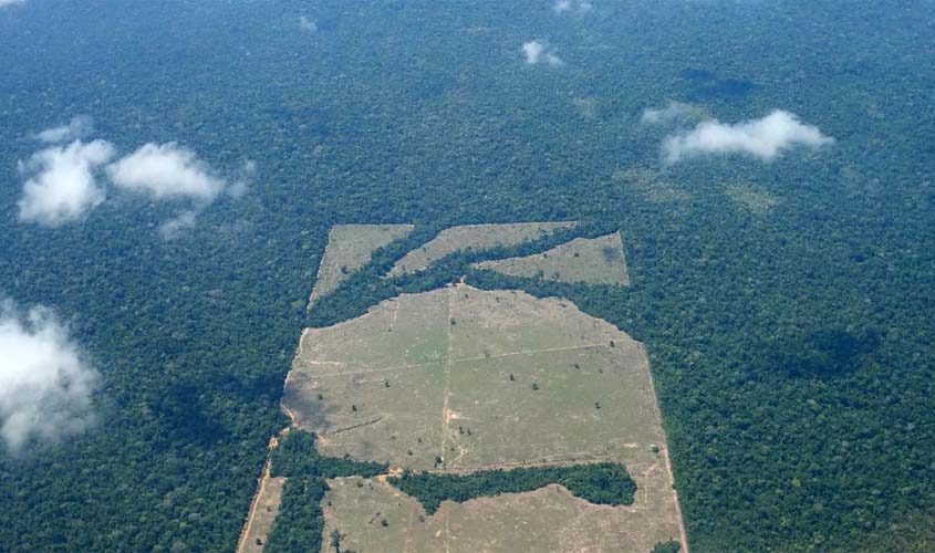 Incra tenta anular compra de área gigante na Amazônia por madeireira estrangeira