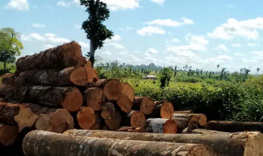 Polícia Ambiental apreendeu 5 mil metros cúbicos de madeira ilegal em Rondônia