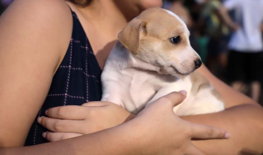 3ª Feira de Adoção de Animais acontece no sábado (28), em Porto Velho