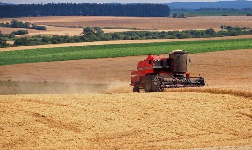 Atuação do MPRO resulta em condenação de ex-secretário de Agricultura e de servidores municipais