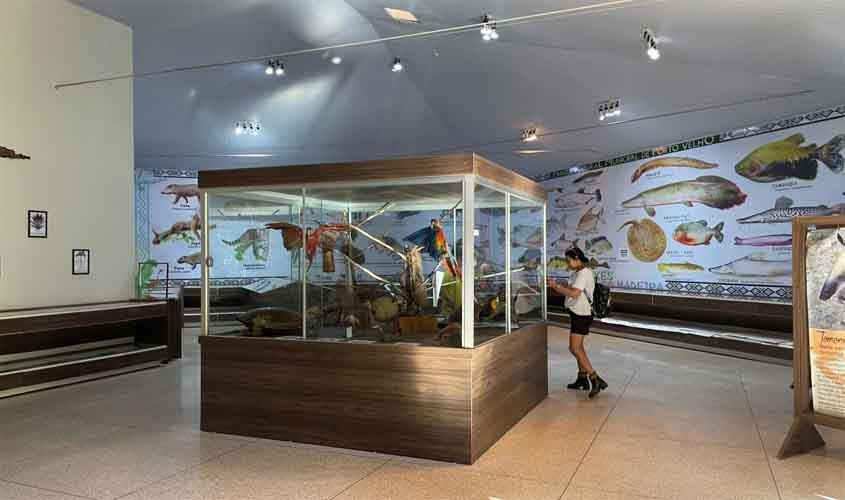 Museu do Parque Natural encanta visitantes com mais de 150 espécies da fauna amazônica
