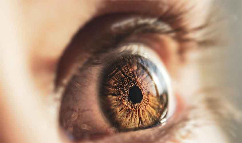 Nem toda cegueira é catarata: entenda os riscos da DMRI e do EMD