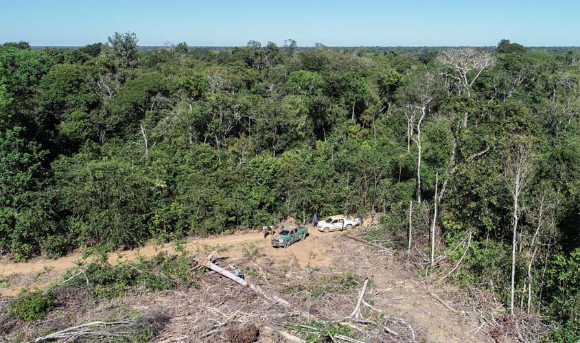 Ibama identifica fraude que provocou desmatamento de 7 mil hectares em MT