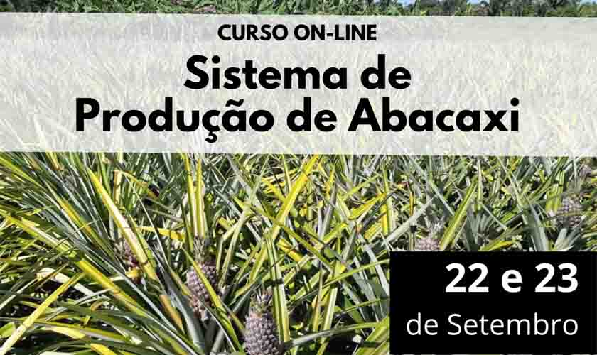 Embrapa Rondônia abre inscrições para curso online sobre sistema de produção de abacaxi