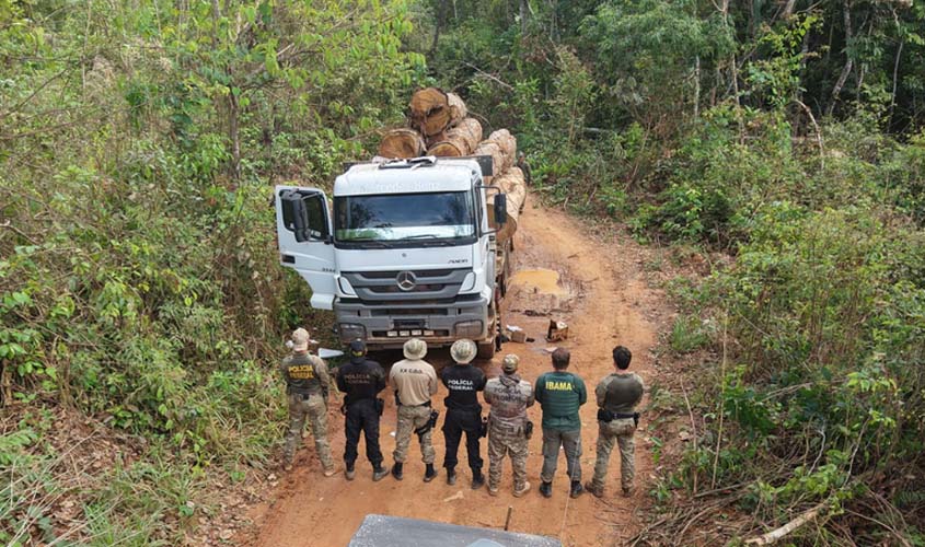 PF combate extração ilegal de madeira em terra indígena de Rondônia