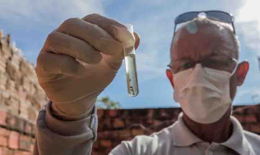 Porto Velho inicia levantamento para identificar a presença do Aedes aegypti em 68 bairros