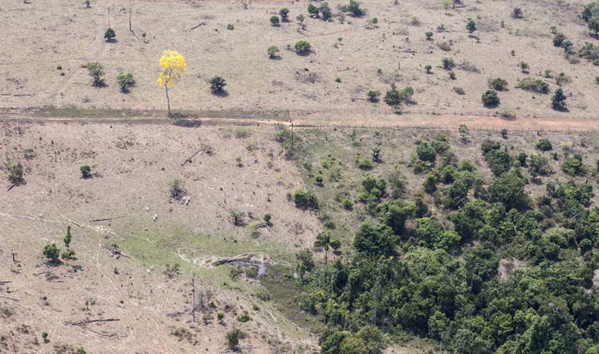 Demarcar terras indígenas não acaba com o agronegócio como disse Bolsonaro, mostra levantamento