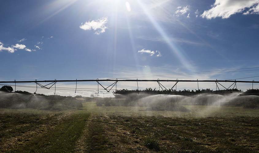 Governo quer mudar seguro agropecuário