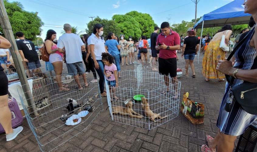 4ª Feira de Adoção de Cães e Gatos em Porto Velho