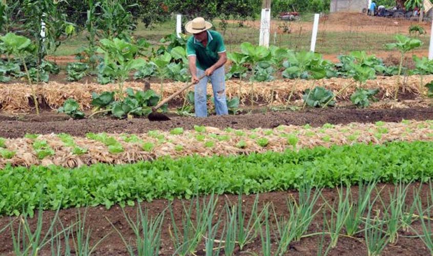 Cadastro da Agricultura Familiar consolida e amplia informações da antiga Declaração de Aptidão