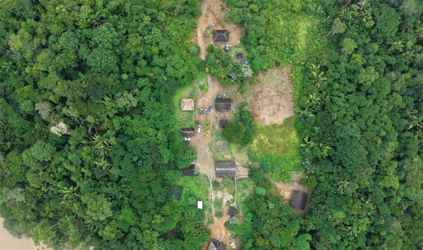 Parceria com Karitiana garante sementes para reflorestamento