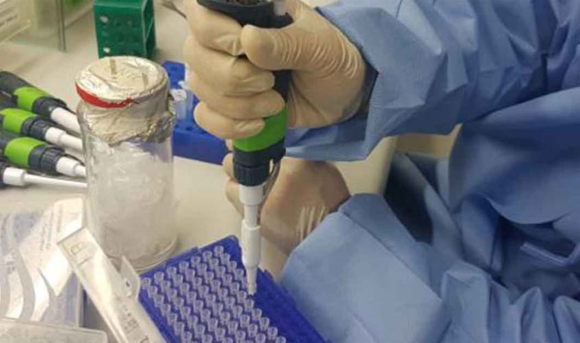Cientistas dos EUA avançam no uso células-tronco para doenças incuráveis