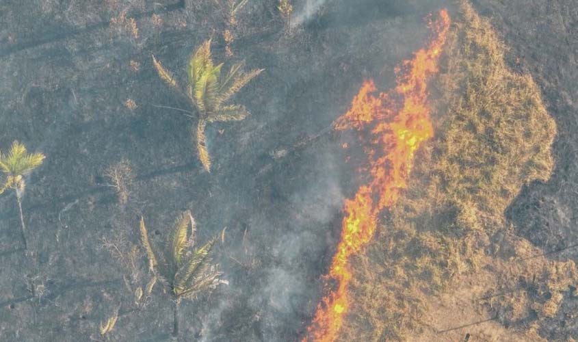 Prefeito Hildon Chaves sanciona lei que institui a política de conscientização, prevenção e combate às queimadas urbanas em Porto Velho