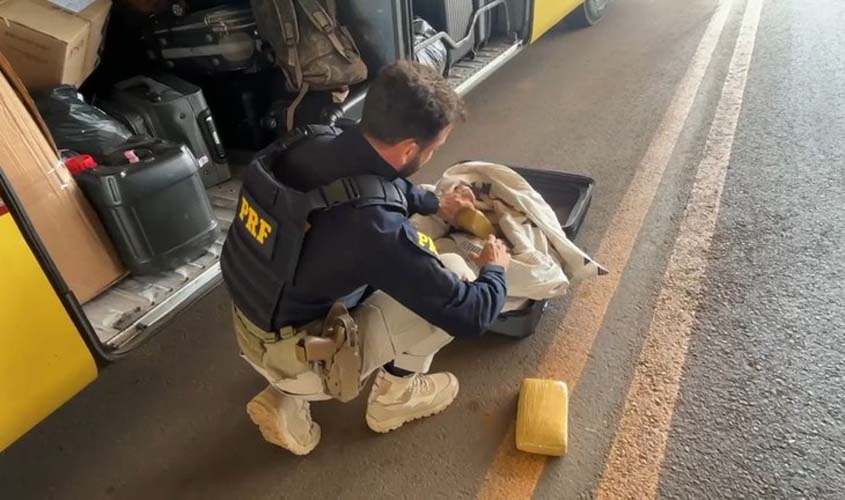 PRF apreende 20 kg de skunk em ônibus na BR-364
