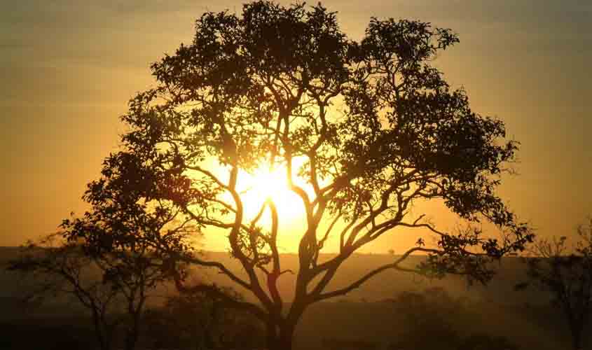 Turismo no Cerrado brasileiro: veja locais imperdíveis