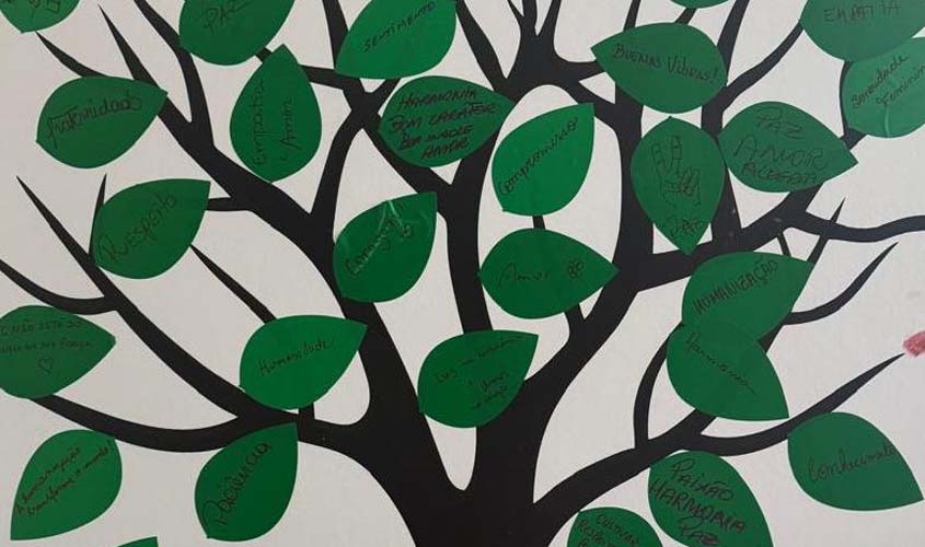 Ouvidoria promove pacto contra violência com 'Árvore do Compromisso'