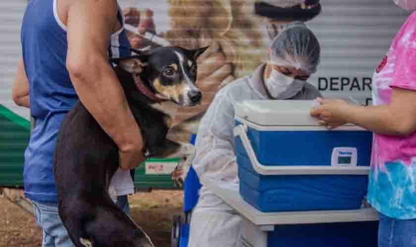 Mais de 800 animais já foram vacinados contra a raiva no Parque Circuito em Porto Velho