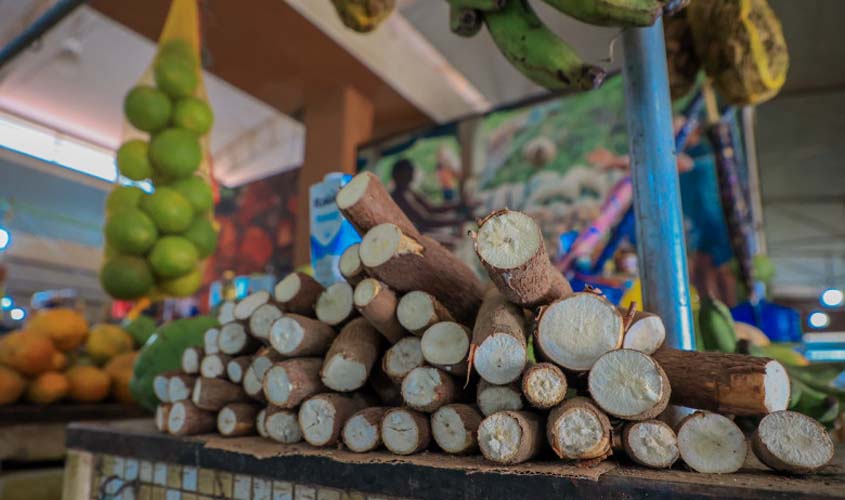Porto Velho lidera na produção de banana, macaxeira, melancia e outras culturas