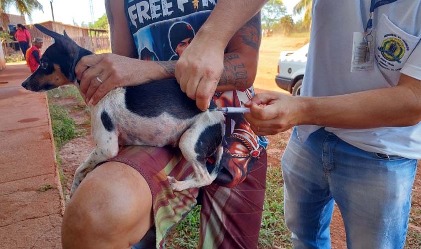 Pelo segundo ano consecutivo, Semusa leva vacinação contra a raiva animal à Vila Princesa